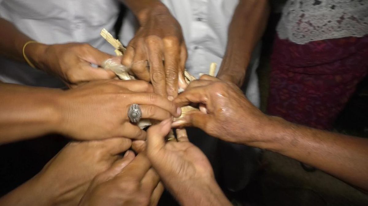 Tradisi Kebo Dongol, Ritual Sakral di Desa Adat Kapal, Badung